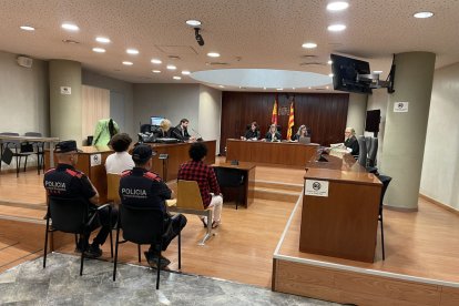 El judici es va celebrar ahir a l’Audiència de Lleida.