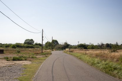 Imatge d’un camí de la partida Balàfia.