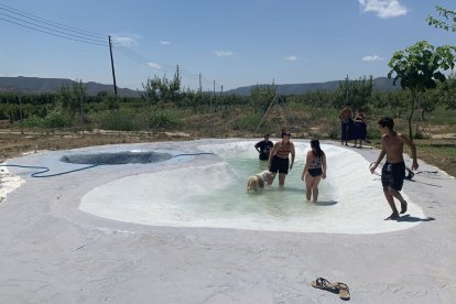 La piscina compta amb rampes perquè els gossos puguin entrar i sortir fàcilment.