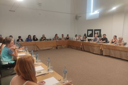 Una trentena d’experts de diferents àmbits, ahir en el seminari al Parador de Lleida.