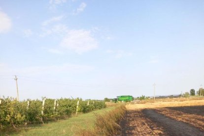 Imatge de l’incendi agrícola que es va declarar dijous a Bellpuig.