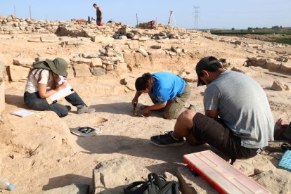 Documenten dos noves estances al jaciment de Gebut de Soses