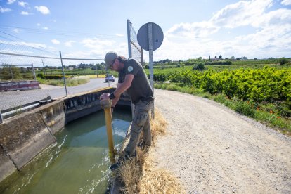 Un dels vigilants del canal de Pinyana revisa una pala de reg a l’inici de la campanya.