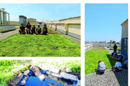 Éxito del proyecto de cubiertas verdes Big4life, en el Parque - REDACCIÓN XXII
