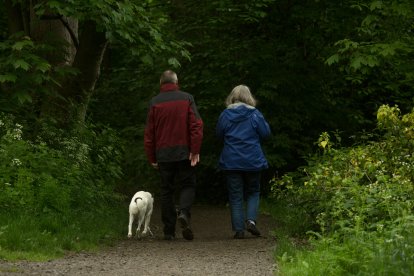 Una pareja de jubilados pasea por el bosque.