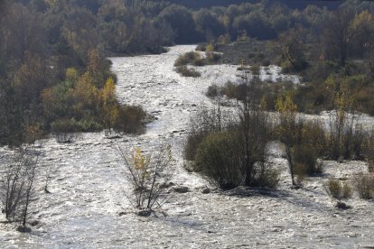 Crescuda del riu Noguera Ribagorçana pel desembassament d'Escales

Data de publicació: dimecres 06 de novembre del 2024, 14:13

Localització: Sopeira