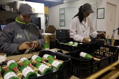 Cadena de producció de iogurts per a mascotes