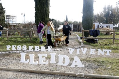 Preparatius al pessebre vivent del barri dels Mangraners de Lleida, que es recupera després de sis anys.