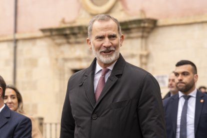 El rey Felipe VI.