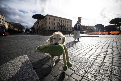 En la imagen de archivo, una mujer pasea a su perro en una calle durante el encierro navideño por la pandemia, en Roma, Italia.