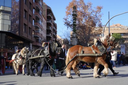 Imatge d'arxiu de la celebració l'any passat de la Festivitat de Sant Antoni Abat a Lleida.