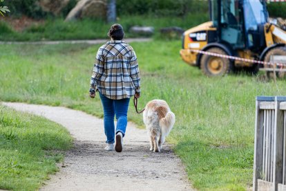 Una persona paseando a su perro.