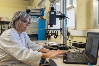 Una investigadora d'Agrotecnio.