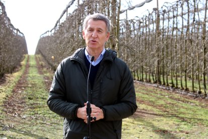 Alberto Núñez Feijóo atiende a la prensa en una finca agrícola de Mollerussa.