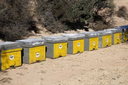 Les diez colmenas de abejas que se han instalado en la finca experimental de Maials de la Diputació de Lleida en el marco del proyecto Redicat