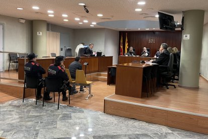 El judici es va celebrar el 16 de gener a l’Audiència de Lleida. - A. GUERRERO