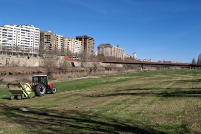 Tractor amb escarificadora al marge esquerre de la canalització del riu Segre