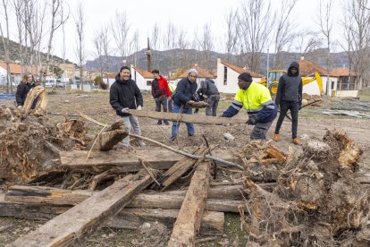 Los primeros trabajos se concentran en el entorno de los bungalows e incluyen retirar árboles que crecen demasiado cerca de los edificios. - JORDI ECHEVARRIA