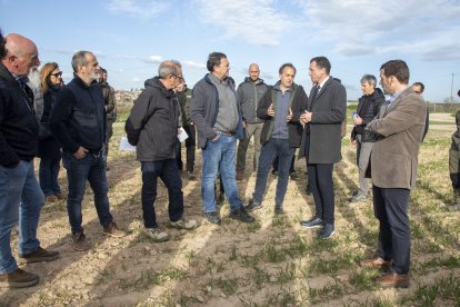 El conseller se reunió en Tàrrega con científicos del CSIC. - LAIA PEDRÓS