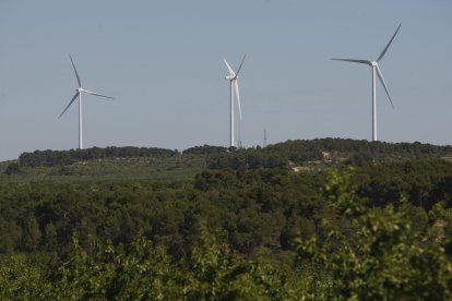 Imagen de archivo de molinos de viento en Les Garrigues. - ITMAR FABREGAT