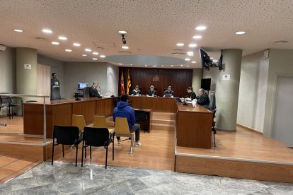 El judici es va celebrar el 20 de març a l’Audiència de Lleida. - A. GUERRERO