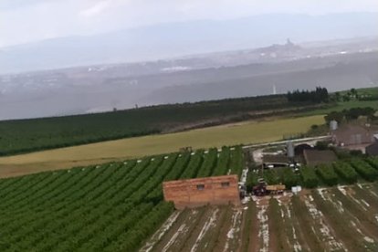 Mallas con granizo ayer en una finca de Alfés. - UNIÓ DE PAGESOS