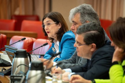 Cani Fernández, presidenta de la CNMC, ayer en el Congreso. - GABRIEL LUENGAS / EUROPA PRESS