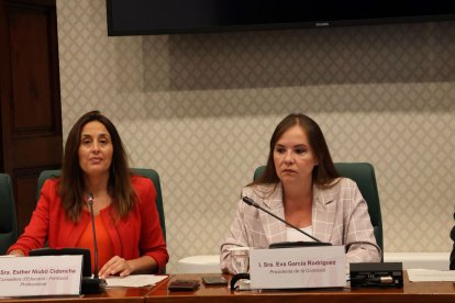 La consellera Esther Niubó, a la izquierda, intervino ayer en la comisión de Educación del Parlament. - PARLAMENT DE CATALUNYA