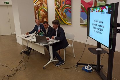 Un momento de la rueda de prensa celebrada ayer en la sede de Afructa sobre previsiones de cosecha. - J. MARTÍNEZ
