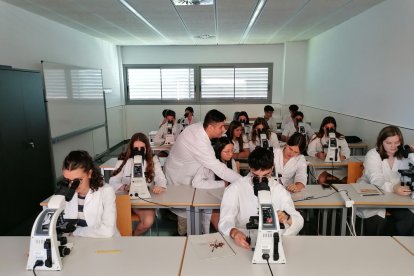 Un dels cursos del Campus Jove de juliol de l’any passat. - SEGRE