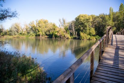 El riu Segre a l'altura del Parc de la Mitjana.