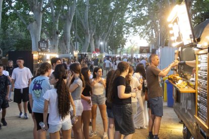 El passeig central dels Camps Elisis de Lleida, a vessar ahir a la tarda en el Rumm Festival. - GERARD HOYAS