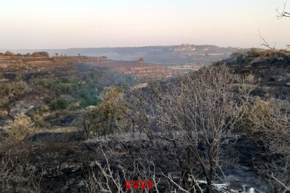L'incendi agrícola de la Segarra s'ha donat per controlat aquest diumenge al matí.
