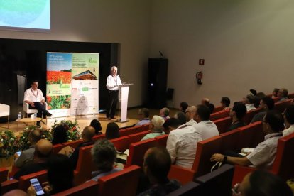 Un moment de la conferència inaugural del simposi que se celebra a la Llotja fins divendres. - MAGDALENA ALTISENT