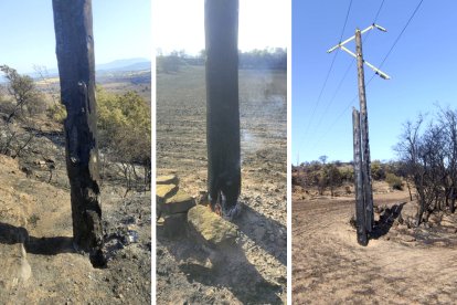 Endesa inspecciona la línia afectada per l'incendi entre Guissona i Ponts