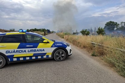 El foc es va originar a la partida de Vinatesa cap a les set de la tarda