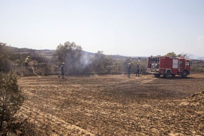 Els Bombers, ahir en una zona que encara fumejava. - LAIA PEDRÓS