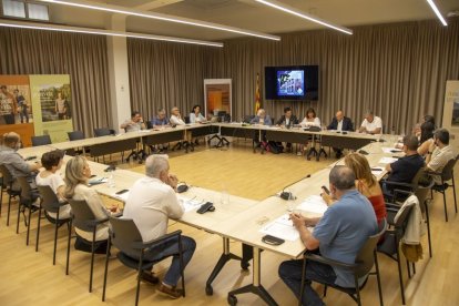 L’executiva i el Consell Permanent de Femembalses es van reunir ahir a Lleida. - JORDI ECHEVARRIA