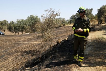 Un agent rural delimitava ahir a peu la zona afectada per l’incendi de Torrefeta i Florejacs. - LAIA PEDRÓS
