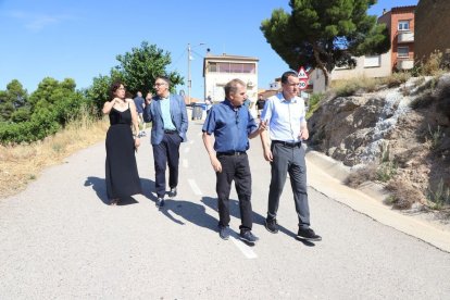Ordeig (dreta), ahir al camí de Bovera a la Palma d’Ebre. - MAGDALENA ALTISENT