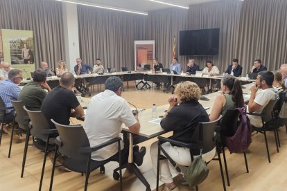 Edils de 13 municipis afectats i dos consells, a la reunió amb la Generalitat a la Diputació. - DIPUTACIÓ DE LLEIDA