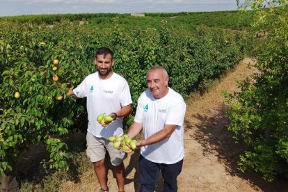 El responsable de fruita dolça d’Asaja Lleida, Jordi Vidal, amb Pere Roqué, president d’Asaja Lleida. - J. MARTÍNEZ