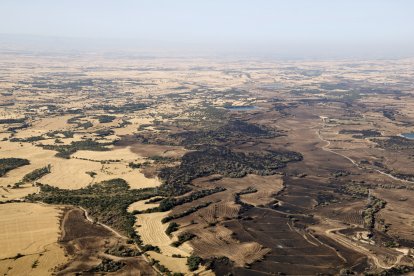 Zona donde se pararon las llamas del incendio de Torrefeta i Florejacs