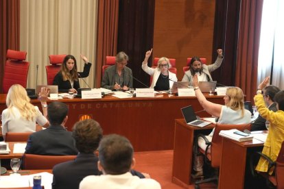 La Comisión de Asuntos Institucionales, ayer durante la votación del dictamen previo del texto. - ACN