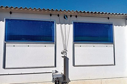 Un sistema automatizado gestiona la temperatura, la humedad y la carga de CO2 de las granjas. - PREMIER PIGS