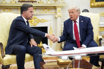 Rutte estrecha la mano de Trump durante una reunión en el Despacho Oval de la Casa Blanca. - EFE/EPA/YURI GRIPAS / POOL