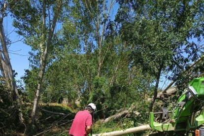 Un treballador de la brigada, ahir a Ribalta. - AJUNTAMENT DE SOLSONA