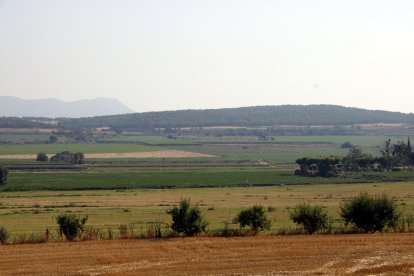 Terrenys on es vol ubicar la planta de biogàs de la Sentiu de Sió