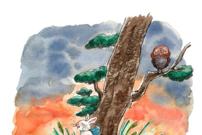 El darrer viatge de la Bruna és una història poètica que tracta temes profunds de la vida, la mort i la llibertat de decidir el nostre propi camí. A través de la figura de la tortuga Bruna, l’autora ens convida a reflexionar sobre el sentit de la mort com una part natural de la vida, i sobre el dret a alliberar-nos del patiment, d’acord amb la nostra pròpia voluntat.