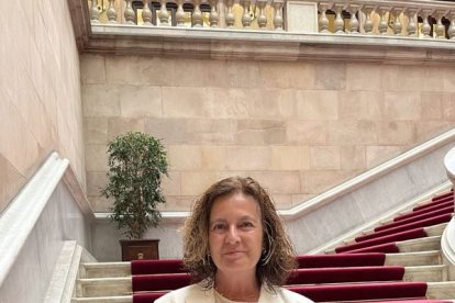 «Fins ara quedàvem fora dels ajuts» - M. CODINAS